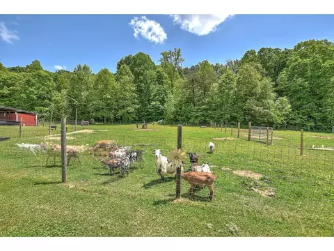 770 Oss Williams Limestone Tn 37681, Limestone, TN 37681 photo 30