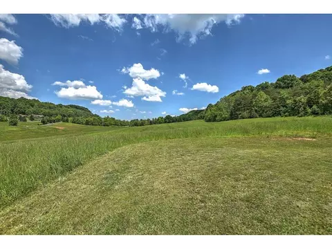770 Oss Williams Limestone Tn 37681, Limestone, TN 37681 photo 27