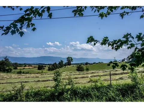 235 Jeffers Lane Limestone Tn 37681, Limestone, TN 37681 photo 7