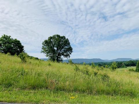 116 Landon Drive Mount Carmel Tn 37645, Mount Carmel, TN 37645