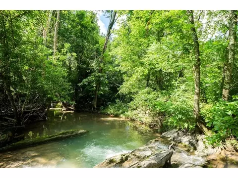 140 Oliphant Drive Greeneville Tn 37745, Greeneville, TN 37745 photo 31