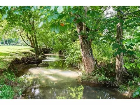 140 Oliphant Drive Greeneville Tn 37745, Greeneville, TN 37745 photo 30