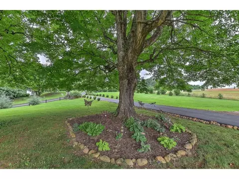 254 Smith Bridge Road Limestone Tn 37681, Limestone, TN 37681 photo 29