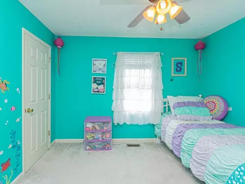 236 Springview Drive Gray Tn 37615, Gray, TN 37615 photo 13