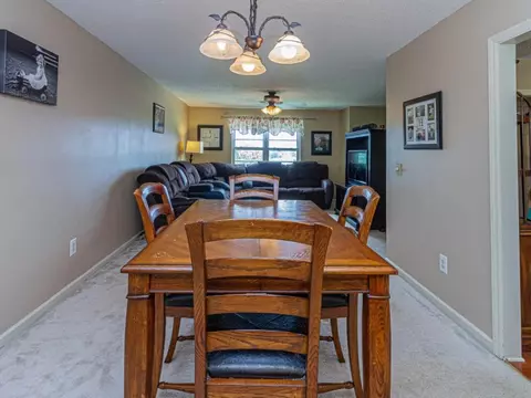 236 Springview Drive Gray Tn 37615, Gray, TN 37615 photo 7