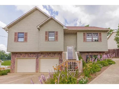 236 Springview Drive Gray Tn 37615, Gray, TN 37615 photo 1