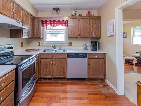 236 Springview Drive Gray Tn 37615, Gray, TN 37615 photo 4