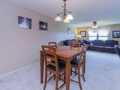 236 Springview Drive Gray Tn 37615, Gray, TN 37615 photo 6