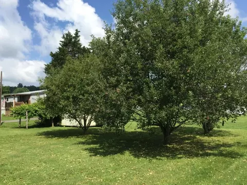 148 Ruby Avenue Elizabethton Tn 37643, Elizabethton, TN 37643 photo 4