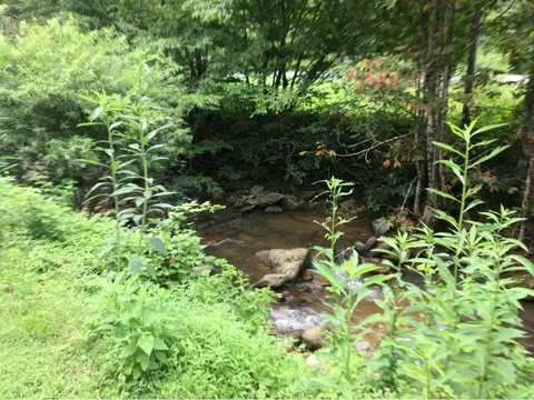 425 Coffee Ridge Road Erwin Tn 37650, Erwin, TN 37650 photo 8
