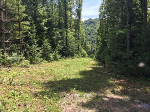 121 Pond Mountain Ln, Hampton, TN 37658 photo 1