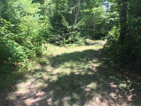 108 Cub Den Ln, Hampton, TN 37658 photo 1