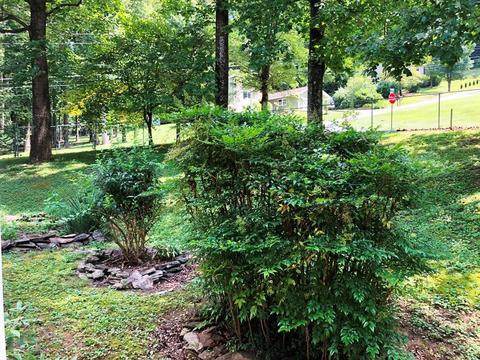121 Green Street Hampton Tn 37658, Hampton, TN 37658 photo 6