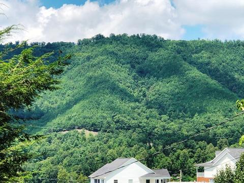 121 Green Street Hampton Tn 37658, Hampton, TN 37658 photo 7