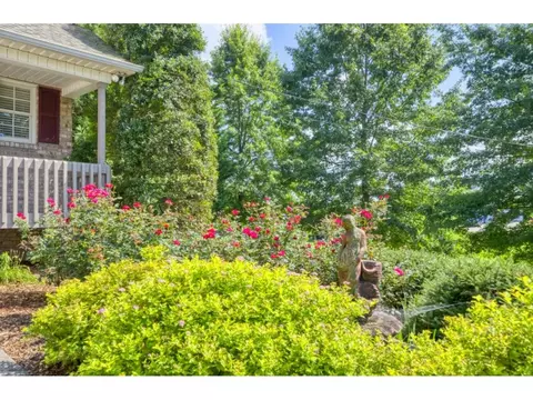 300 Painter Road Fall Branch Tn 37656, Fall Branch, TN 37656 photo 4