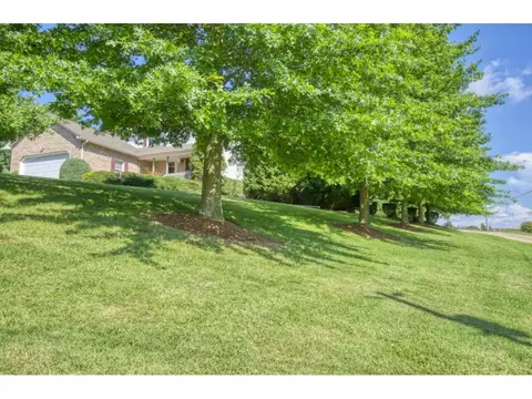 300 Painter Road Fall Branch Tn 37656, Fall Branch, TN 37656 photo 31