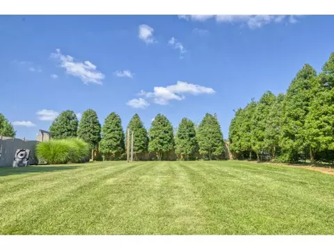 300 Painter Road Fall Branch Tn 37656, Fall Branch, TN 37656 photo 28
