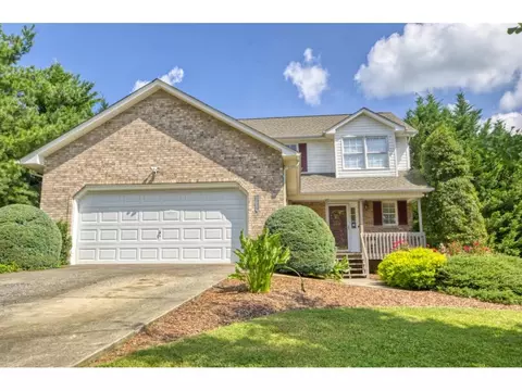 300 Painter Road Fall Branch Tn 37656, Fall Branch, TN 37656 photo 3