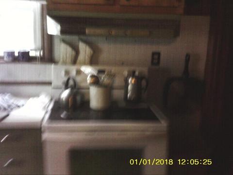 224 NE New Avenue Erwin Tn 37650, Erwin, TN 37650 photo 10