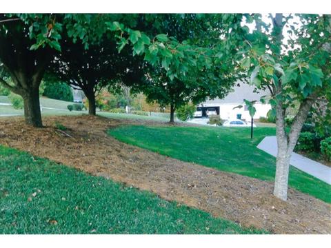 33 Grace Meadows Court Gray Tn 37615, Gray, TN 37615 photo 36