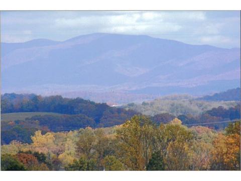 33 Grace Meadows Court Gray Tn 37615, Gray, TN 37615 photo 30