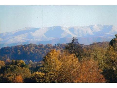 33 Grace Meadows Court Gray Tn 37615, Gray, TN 37615 photo 2