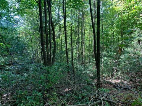 120 Cub Den Lane Hampton Tn 37658, Hampton, TN 37658 photo 5