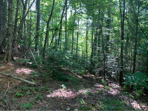 120 Cub Den Lane Hampton Tn 37658, Hampton, TN 37658 photo 4