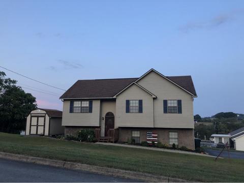 229 Springview Drive Gray Tn 37615, Gray, TN 37615 photo 28