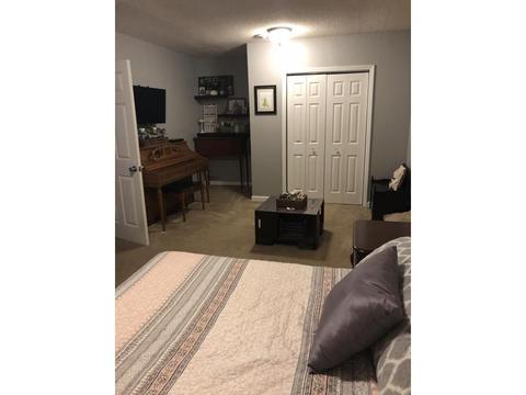 229 Springview Drive Gray Tn 37615, Gray, TN 37615 photo 18