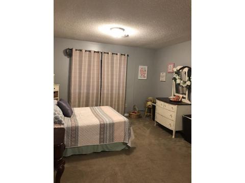 229 Springview Drive Gray Tn 37615, Gray, TN 37615 photo 19