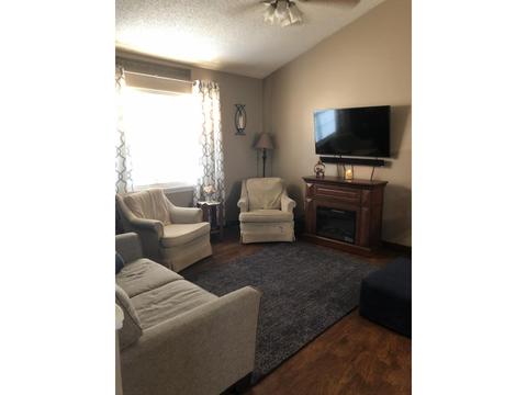 229 Springview Drive Gray Tn 37615, Gray, TN 37615 photo 3