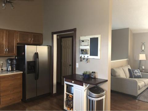 229 Springview Drive Gray Tn 37615, Gray, TN 37615 photo 6