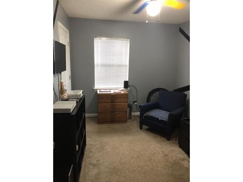 229 Springview Drive Gray Tn 37615, Gray, TN 37615 photo 30