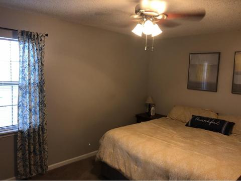 229 Springview Drive Gray Tn 37615, Gray, TN 37615 photo 15