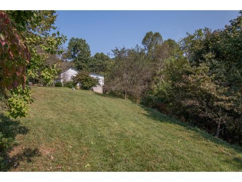 104 Wright Lane Bristol Tn 37620, Bristol, TN 37620 photo 15
