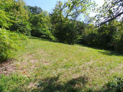 949 Mountain Loop Greeneville Tn 37745, Greeneville, TN 37745 photo 18