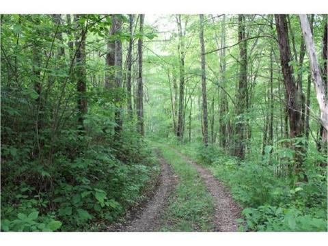 949 Mountain Loop Greeneville Tn 37745, Greeneville, TN 37745 photo 27