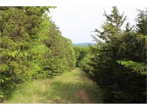 949 Mountain Loop Greeneville Tn 37745, Greeneville, TN 37745 photo 28