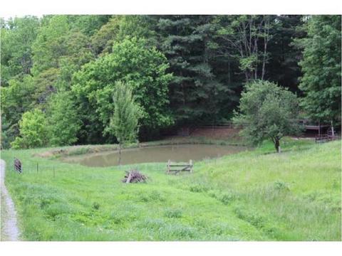 949 Mountain Loop Greeneville Tn 37745, Greeneville, TN 37745 photo 14