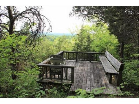 949 Mountain Loop Greeneville Tn 37745, Greeneville, TN 37745 photo 20