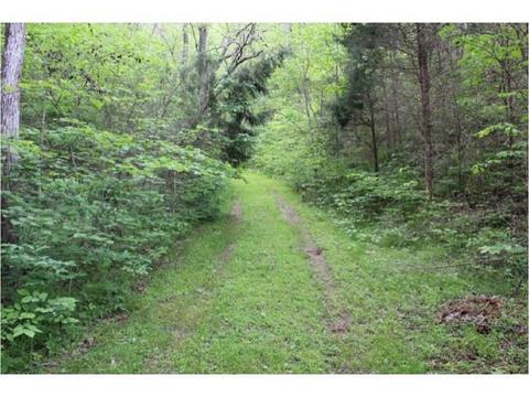 949 Mountain Loop Greeneville Tn 37745, Greeneville, TN 37745 photo 29