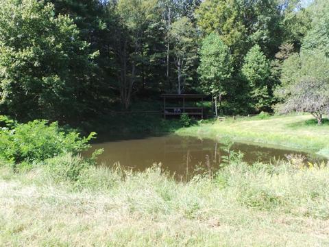 949 Mountain Loop Greeneville Tn 37745, Greeneville, TN 37745 photo 10