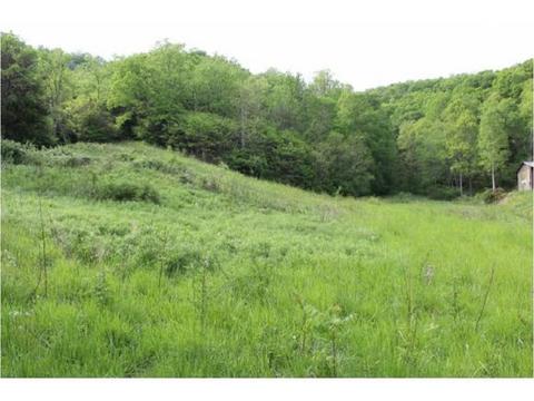 949 Mountain Loop Greeneville Tn 37745, Greeneville, TN 37745 photo 19