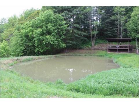 949 Mountain Loop Greeneville Tn 37745, Greeneville, TN 37745 photo 13