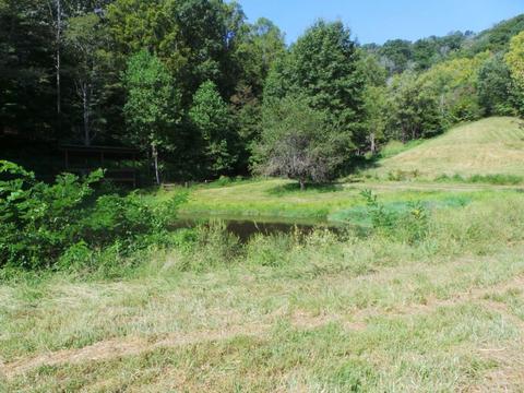 949 Mountain Loop Greeneville Tn 37745, Greeneville, TN 37745 photo 16