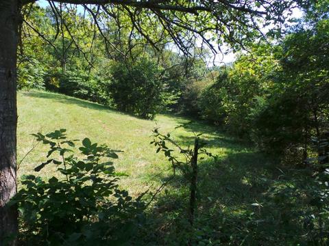 949 Mountain Loop Greeneville Tn 37745, Greeneville, TN 37745 photo 22