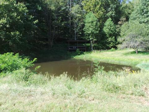 949 Mountain Loop Greeneville Tn 37745, Greeneville, TN 37745 photo 30