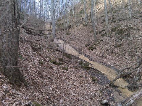 1775 Fodderstack Mountain Loop Greeneville Tn 37745, Greeneville, TN 37745 photo 33