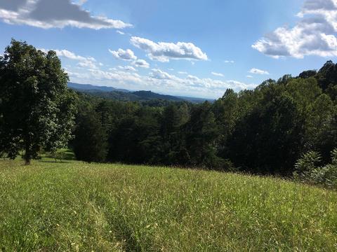 1775 Fodderstack Mountain Loop Greeneville Tn 37745, Greeneville, TN 37745 photo 28
